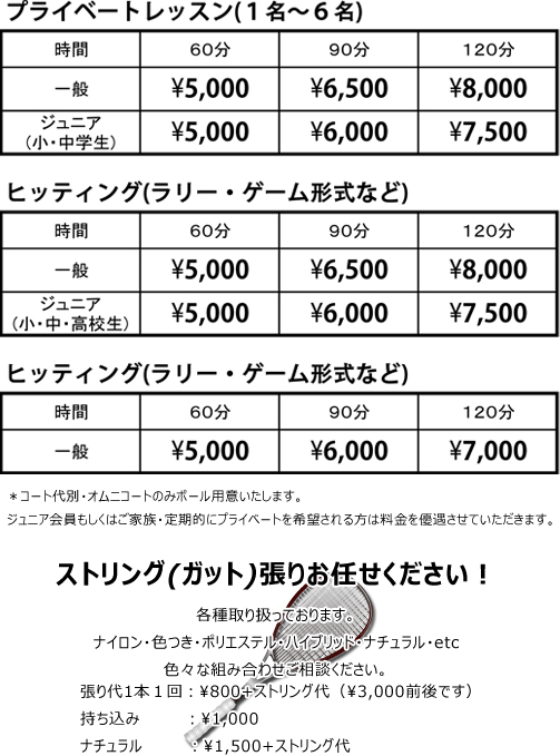 プライベートレッスン料金表